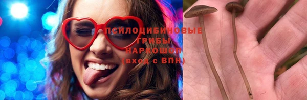 дживик Пестово